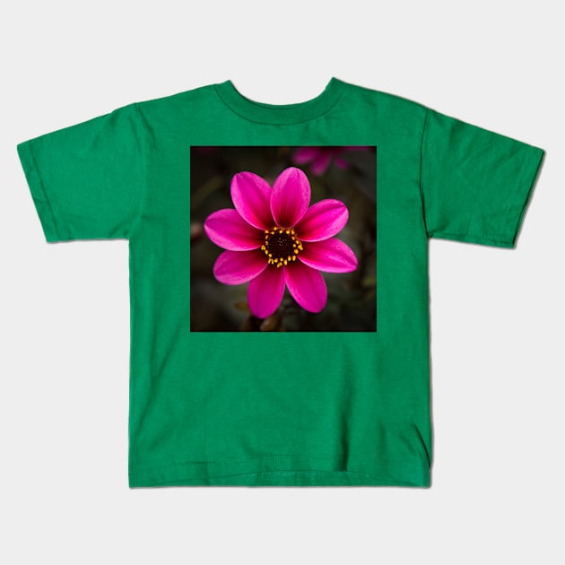 Dahlia Kids T-Shirt by thadz